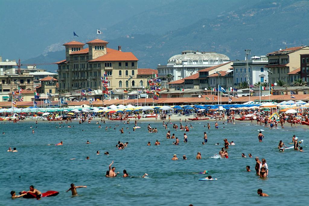 Dolly Viareggio